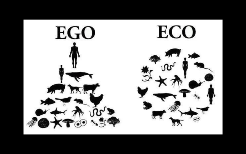 Uomo e Natura: dall’egocentrismo all’ecocentrismo